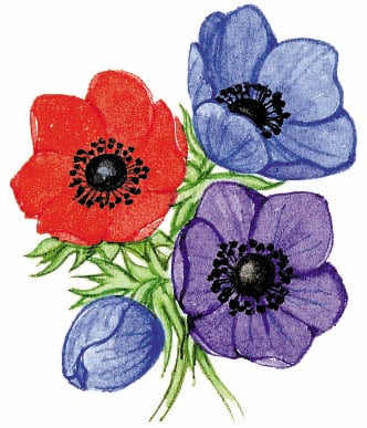 Image for choice number 2