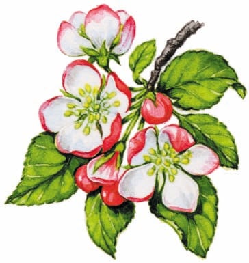 Image for choice number 3