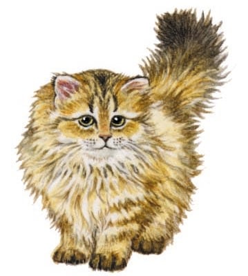 Image for choice number 61