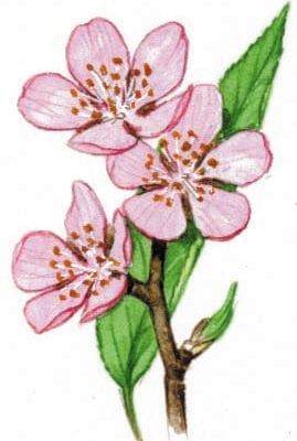 Image for choice number 6