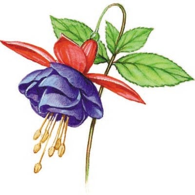 Image for choice number 9