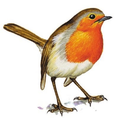 Image for choice number 46