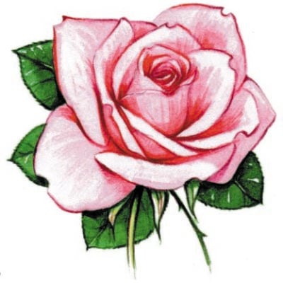 Image for choice number 27