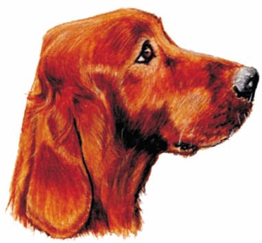 Image for choice number 60