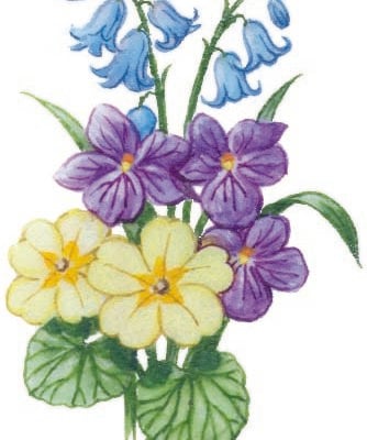 Image for choice number 20