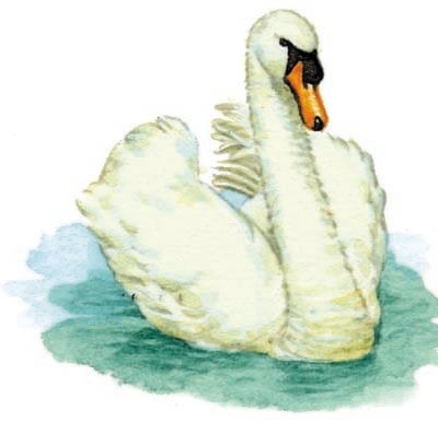 Image for choice number 51