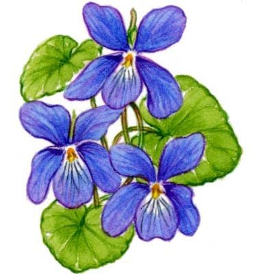 Image for choice number 21