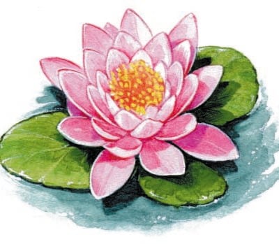 Image for choice number 22