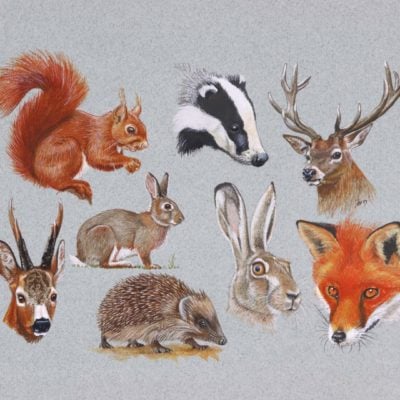 Image for choice number 70