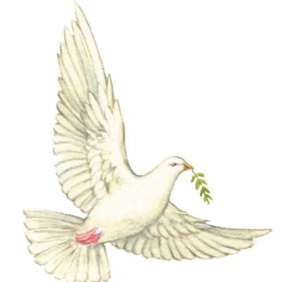 Image for choice number 42